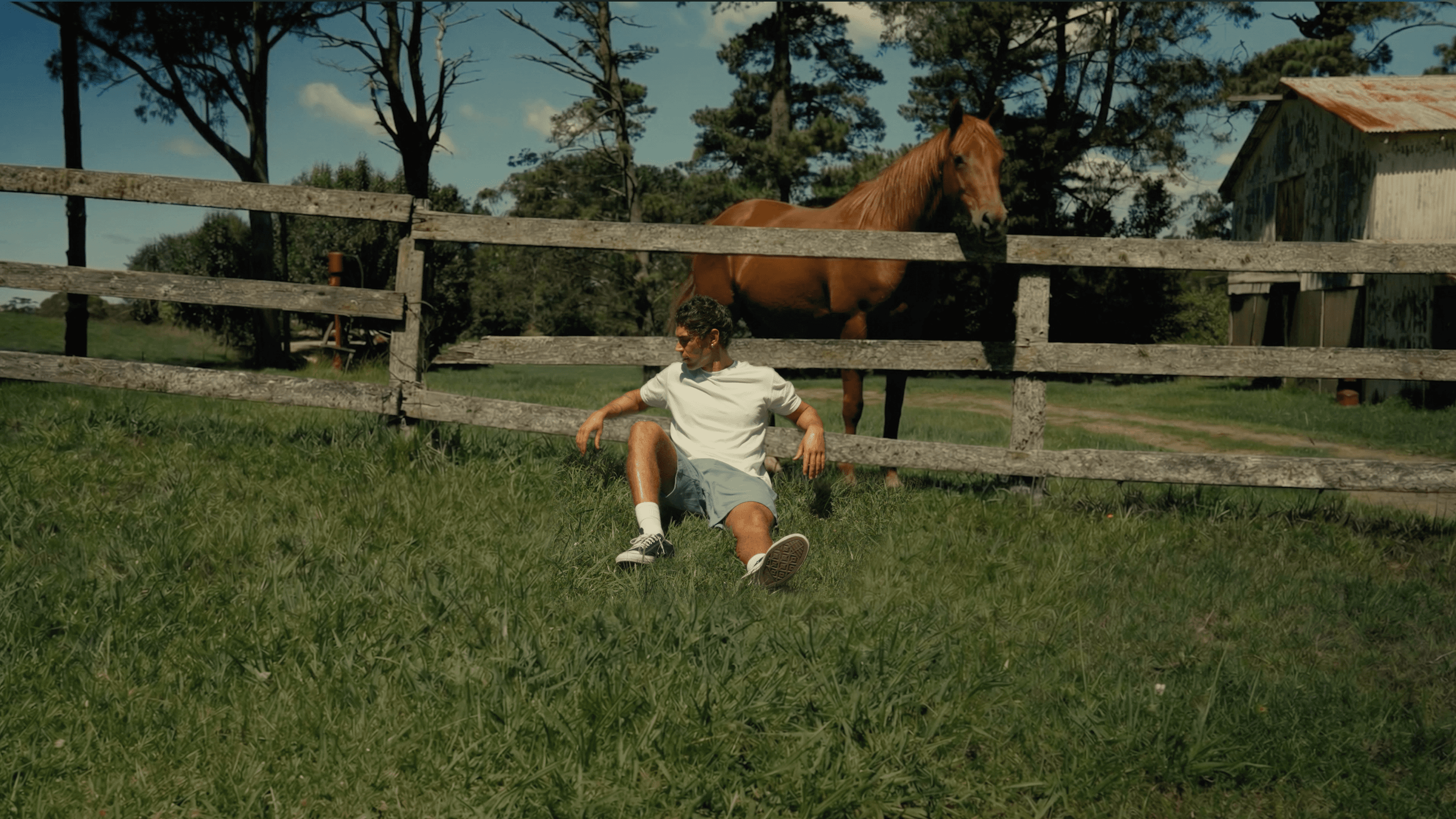 AA Lookbook — Frame 2